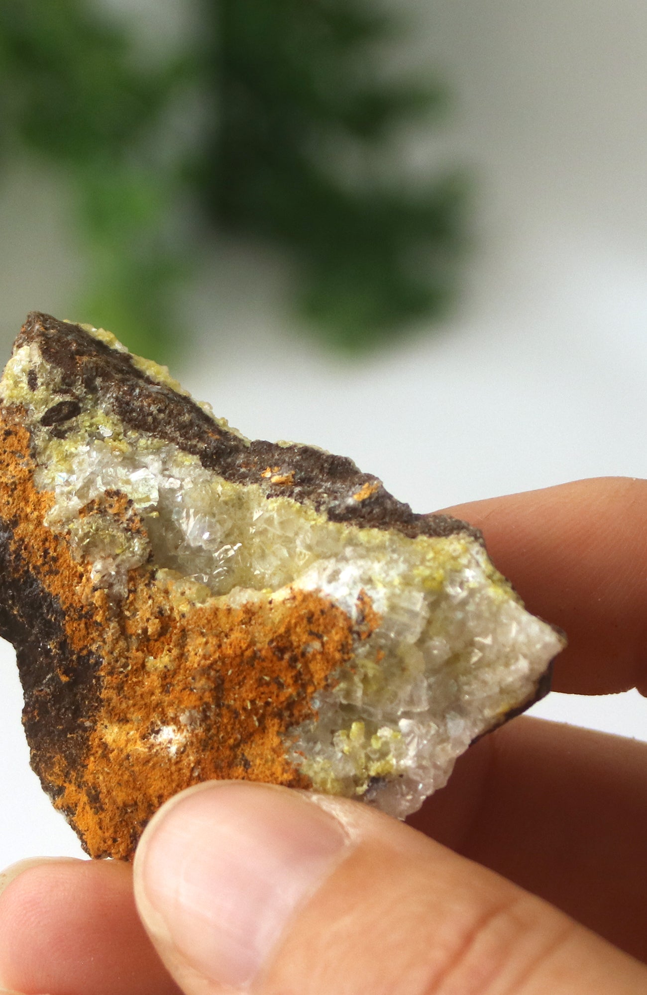 Mimetite Specimen